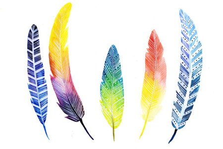 Перо раскраска