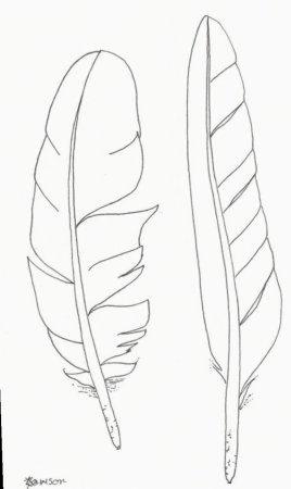 Перо для срисовки карандашом