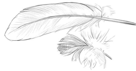 Перо на прозрачном фоне