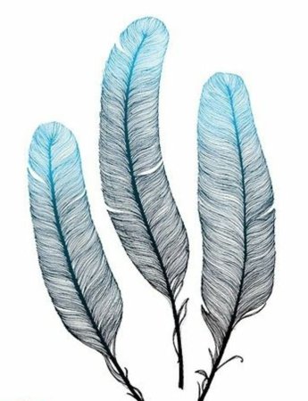 Перья индейца