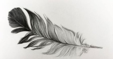 Птичье перо