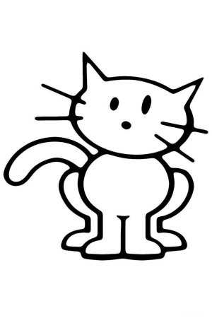 Кошка схематично
