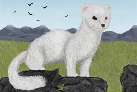 Нарисовать горностая