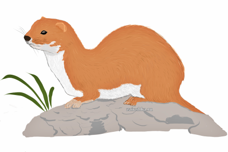 Норка для детей