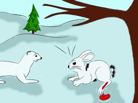 Иллюстрация к сказке горностай и заяц