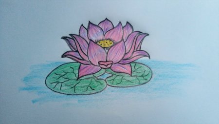 Лотос детский рисунок