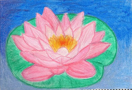 Изо кувшинка