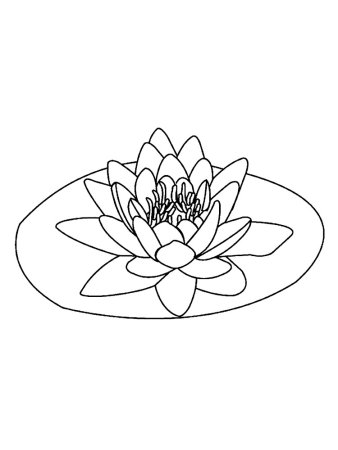 Поэтапное рисование цветов