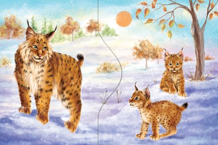 Рысь цветными карандашами