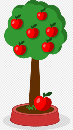Яблоня раскраска