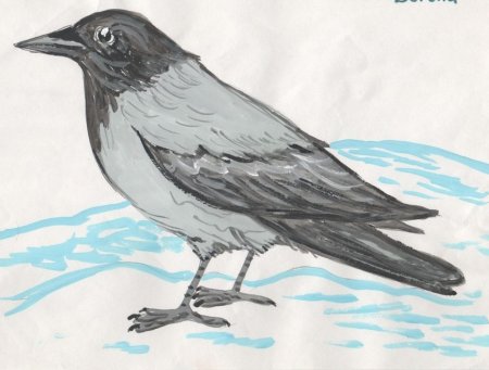 Рисунок вороны для детей