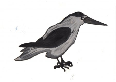 Ворона рисунок для детей