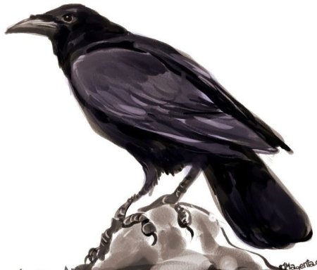 Картина вороны