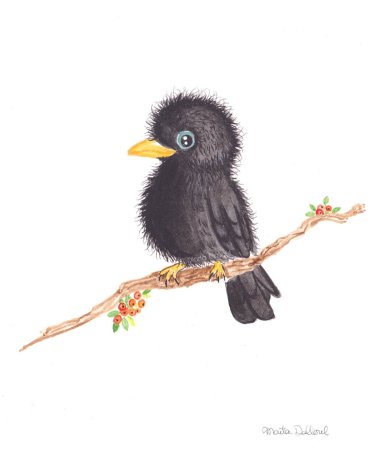 Ворона картинка для детей