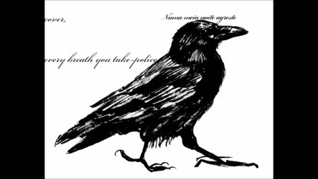 Черно белая ворона