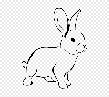 Детский кролик рисунок (50 фото)