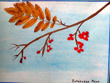 Ветка рябины рисунок для детей