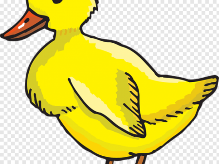Утки для детей