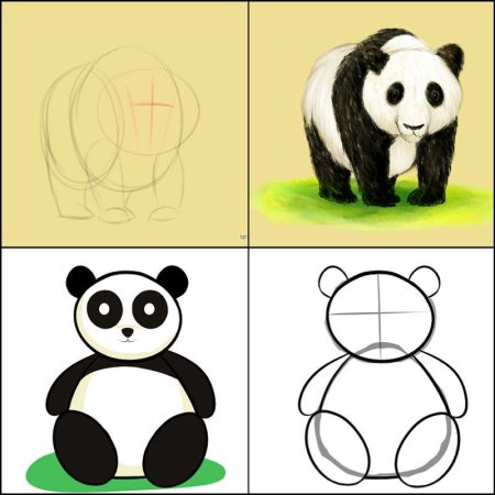 Как нарисовать панду поэтапно