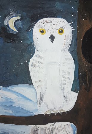 Животные для рисования