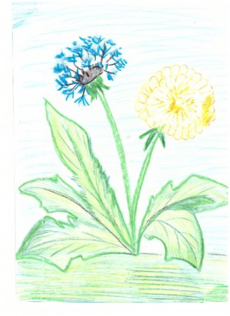 Детские рисунки растений