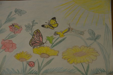 Рисуем красоту растений