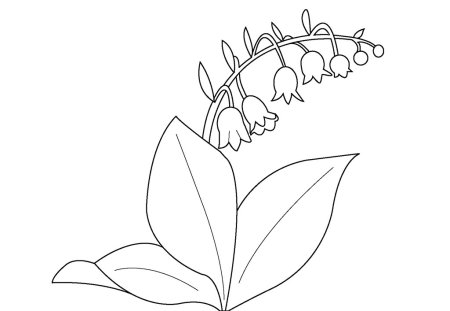 Весенние цветы раскраска для детей