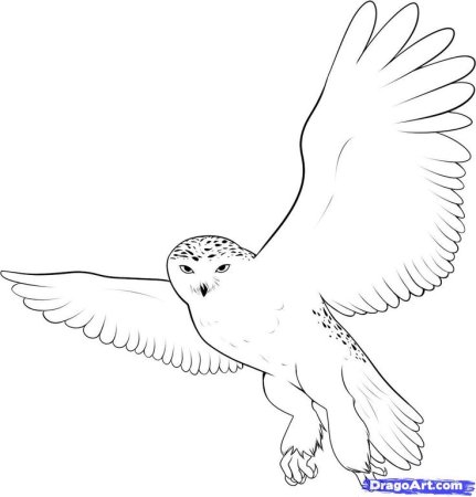 Белая сова детский рисунок (48 фото)