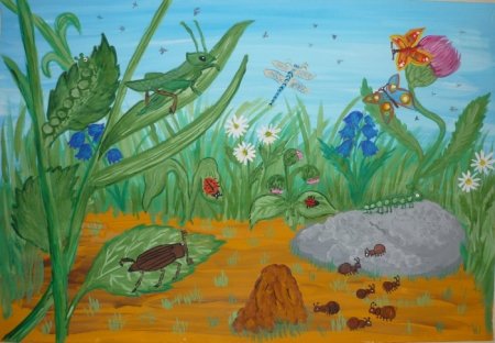 Мир насекомых рисунок