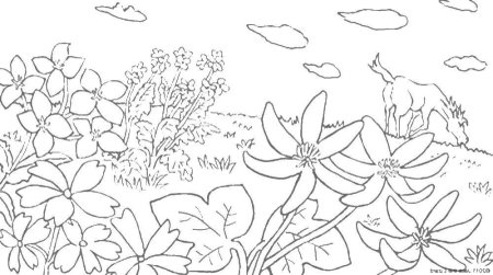 Цветочная Поляна раскраска