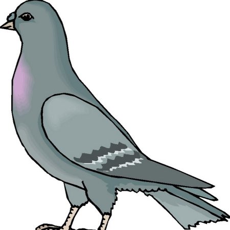 Голуби мультяшки