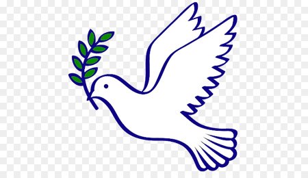 Белый голубь символ мира