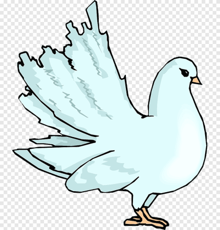 Голубь рисунок
