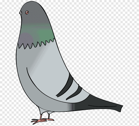 Голубь мультяшный