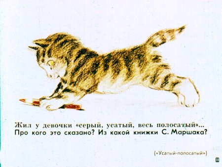 Иллюстрации к книге Усатый полосатый Маршака