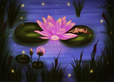 Волшебные кувшинки