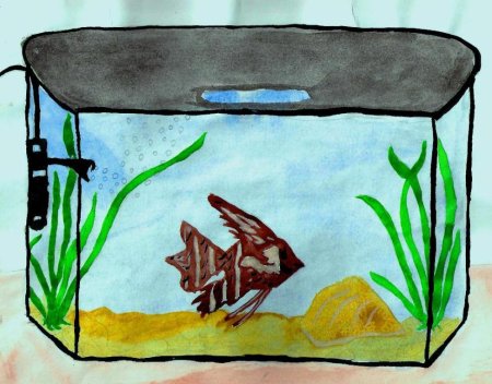 Аквариум рисунок