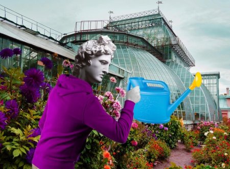 Петербург детский вектор