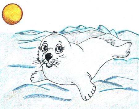 Байкальский нерпенок Белек рисунки