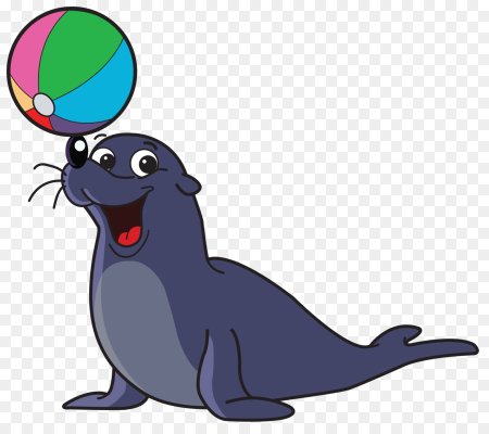 Тюлень для детей