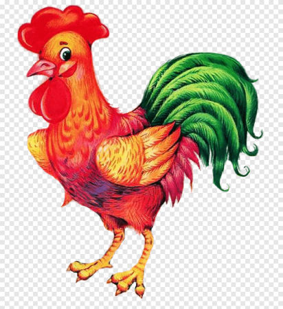 Петух рисунок