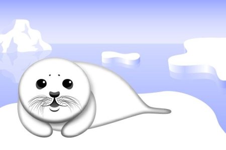 Байкальский нерпенок Белек рисунки