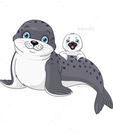 Тюлень для детей дошкольного возраста