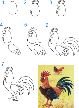Петух раскраска для детей