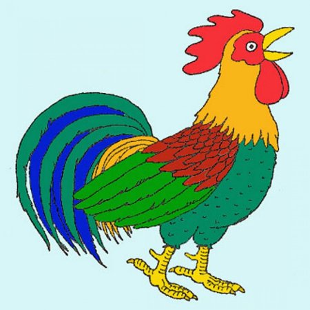 Петух раскраска для детей