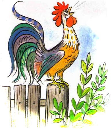 Рисование петуха
