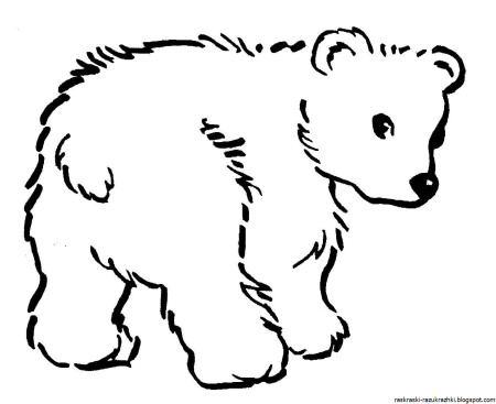 Медведь рисунок белый детский рисунок (52 фото)
