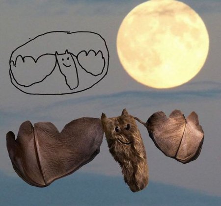 Детские рисунки животных в реальной жизни