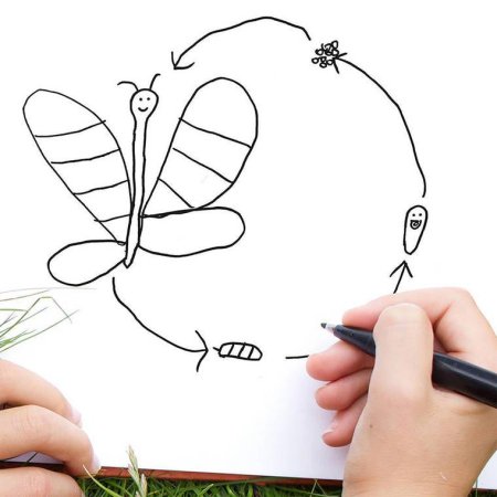 Рисунки своими руками легкие