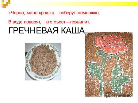 Про гречневую кашу для детей подготовительной группы